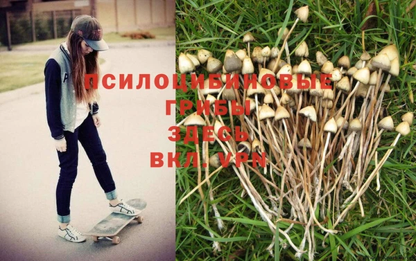 марихуана Баксан
