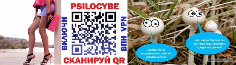 где можно купить наркотик  Иланский  Галлюциногенные грибы мухоморы 